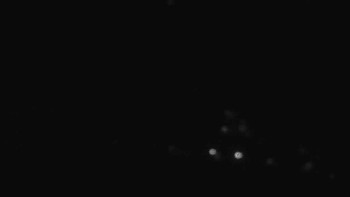 Snímek    4.11.2025 v 05:01