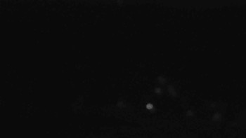 Snímek 6.11.2025 v 03:31