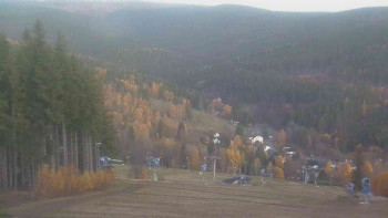 Snímek 6.11.2025 v 06:31