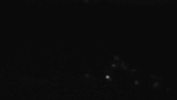 Snímek 6.11.2025 v 19:31