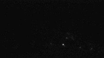 Snímek 7.11.2025 v 02:01