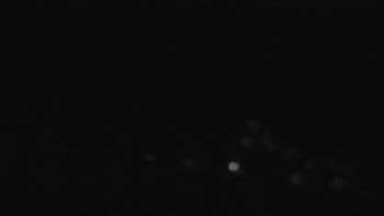 Snímek 7.11.2025 v 20:01