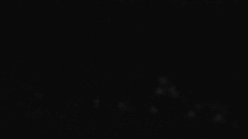 Snímek 7.11.2025 v 22:01