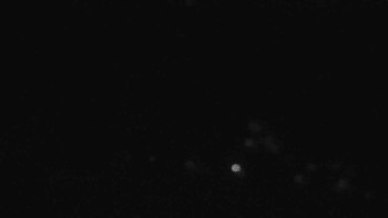 Snímek 7.11.2025 v 23:31