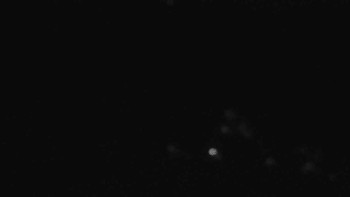 Snímek 8.11.2025 v 03:31