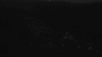 Snímek 8.11.2025 v 06:01