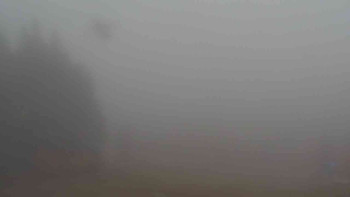 Snímek 9.11.2025 v 13:01