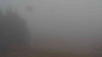 Snímek    9.11.2025 v 13:31