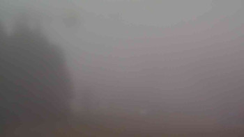 Snímek 17.11.2025 v 07:01