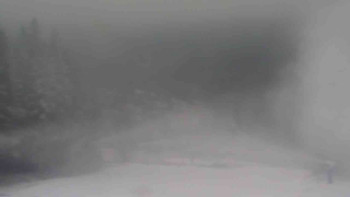 Snímek    19.11.2025 v 09:31