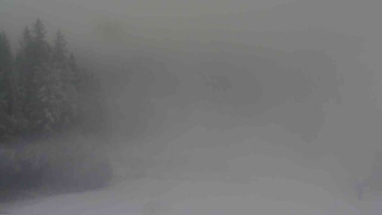 Snímek 19.11.2025 v 11:01