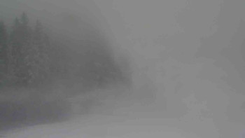 Snímek 19.11.2025 v 12:31