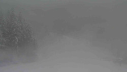 Sjezdovky V Javořinách a Rodinná