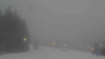 Ski Karlov - areál Karlov