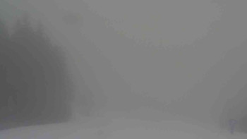 Ski Karlov - areál Karlov