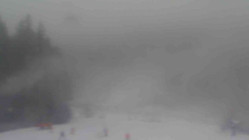 Ski Karlov - areál Karlov