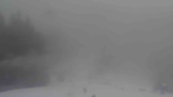 Ski Karlov - areál Karlov