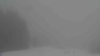 Ski Karlov - areál Karlov