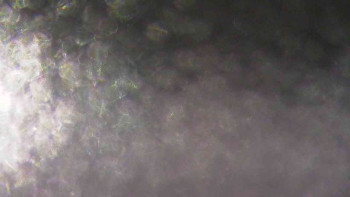 Ski Karlov - areál Karlov