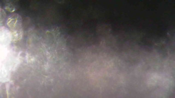 Ski Karlov - areál Karlov