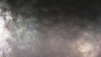 Ski Karlov - areál Karlov