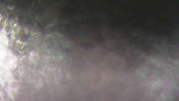 Ski Karlov - areál Karlov