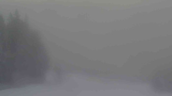 Ski Karlov - areál Karlov