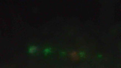 Sjezdovky V Javořinách a Rodinná