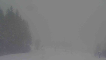 Ski Karlov - areál Karlov