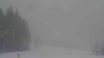 Ski Karlov - areál Karlov