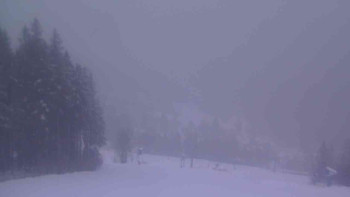 Ski Karlov - areál Karlov