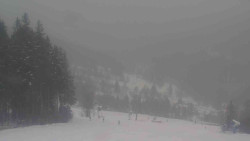 Sjezdovky V Javořinách a Rodinná