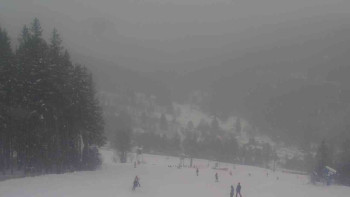 Ski Karlov - areál Karlov