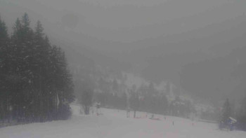 Ski Karlov - areál Karlov