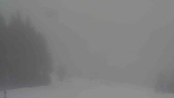 Sjezdovky V Javořinách a Rodinná