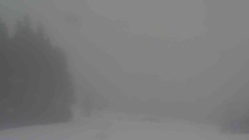 Ski Karlov - areál Karlov