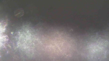 Ski Karlov - areál Karlov