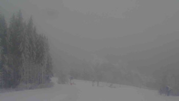 Ski Karlov - areál Karlov