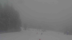 Sjezdovky V Javořinách a Rodinná