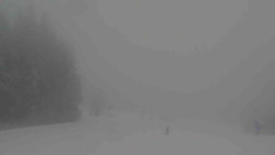 Sjezdovky V Javořinách a Rodinná