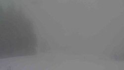 Sjezdovky V Javořinách a Rodinná