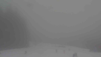 Ski Karlov - areál Karlov