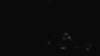 Ski Karlov - areál Karlov