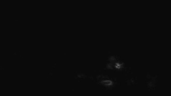 Ski Karlov - areál Karlov