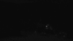 Sjezdovky V Javořinách a Rodinná