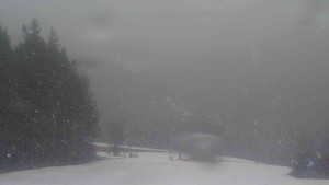 Ski Karlov - areál Karlov - Sjezdovky V Javořinách a Rodinná - 16.3.2026 v 11:32