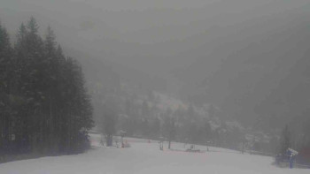 Ski Karlov - areál Karlov