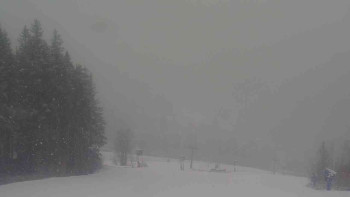 Ski Karlov - areál Karlov