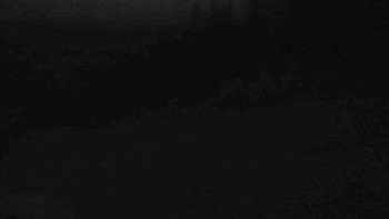 Snímek    10.5.2025 v 21:02
