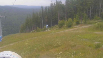 Snímek    4.7.2025 v 09:31